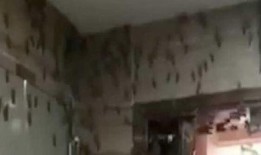 纹身男孩视频爆料大全最新,揭秘纹身文化背后的秘密与争议