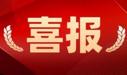 台州最新爆料消息新闻头条,聚焦热点新闻头条，揭秘背后真相